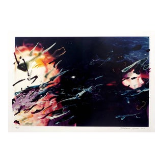 Rebecca Horn, Zenith of the Ocean II From Doctor's of the World Portfolio, Chromogenic Print For Sale