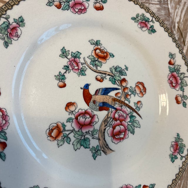 F. Winkle Pheasant small plate. Beautiful pheasant with foliage image.