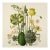 Vintage Botanical Garden Study No. 6 | Botanical Wall Art in Dark Green & Cream For Sale