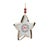 Kenneth Ludwig Chicago Tree and Star Cookie Cutter Ornament (Set of 12) For Sale - Image 4 of 6