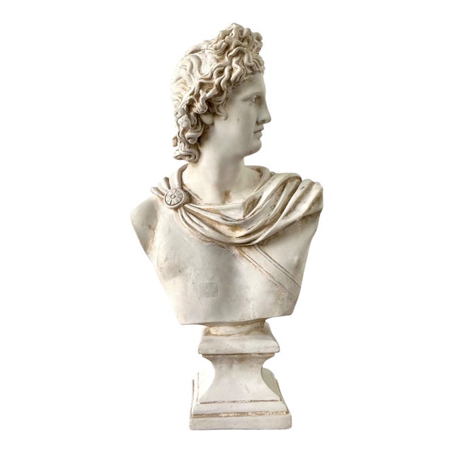 Ceramic Apollo Belvedere Bust Sculpture For Sale