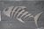 Contemporary Silver Metal Fish Skeleton Wall Decor by Giorgi, 2000s For Sale - Image 3 of 18