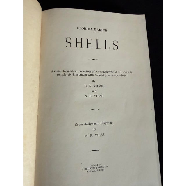 Florida Marine Shells by Cn Vilas and Nr Vilas For Sale - Image 4 of 8