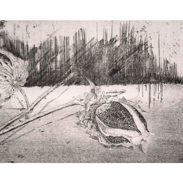 1980s "Ii Cottonballs" - Intaglio Print by Tomoya Uchida For Sale - Image 5 of 8