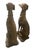 Pair of Mid-Century Neoclassical Style Cast Stone Seated Greyhound Statues For Sale In West Palm - Image 6 of 10