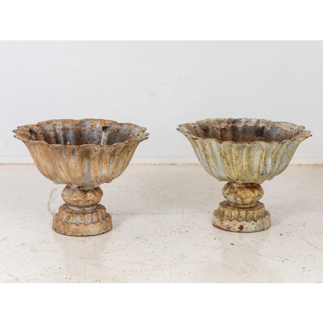 Pair of Verdigris Painted Iron Tazzas or Urns, English Late 20th Century For Sale - Image 4 of 10