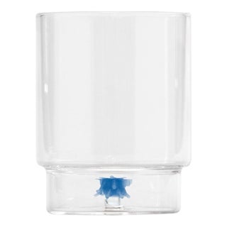 Teca Mare Tumbler (set of 6) - Sea Urchin For Sale