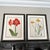Mid-Century Modern Framed Vintage Botanical- Paris Prints Authentic 1946 For Sale - Image 3 of 3