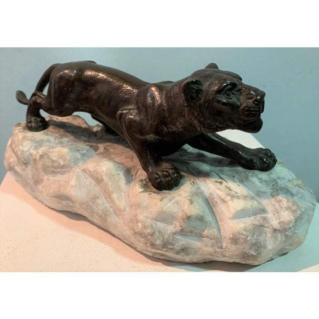 Brown Bronze Lioness on Stone, 1930s For Sale - Image 8 of 11