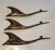 1970s Brutalist Copper Bird Wall Sculptures from Hans Arnold, Germany, 1970s, Set of 3 For Sale - Image 5 of 8