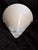 1990s Vintage Wall Lamp with White Curved Glass Shade on Brass Bracket by Hufnagel Leuchten, 1990s For Sale - Image 5 of 8