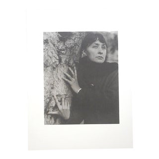 Vintage Photogravure-"Georgia O'Keeffe" by Alfred Stieglitz (Usa 1864-1946) For Sale