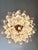 Glass Venetian Transparent “Rondini” Murano Glass Gold Chandelier For Sale - Image 7 of 9