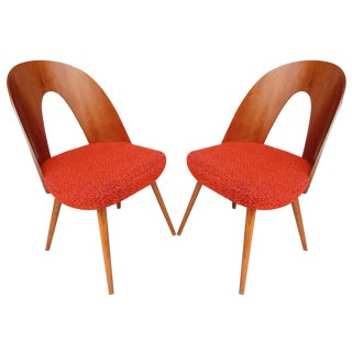 Mid-Century Dining Chairs by Antonin Suman, 1960s, Set of 2 For Sale
