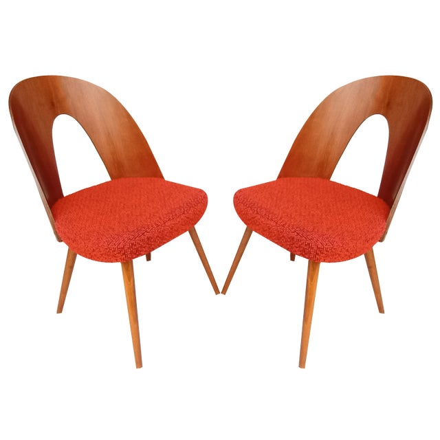 Mid-Century Dining Chairs by Antonin Suman, 1960s, Set of 2 For Sale