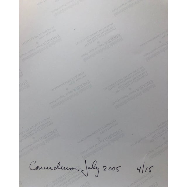 American Peter C. Jones 1, Conundrum, Floral Large Format Photo 24X20 Color Photograph Beach House RI, 2005 For Sale - Image 3 of 5