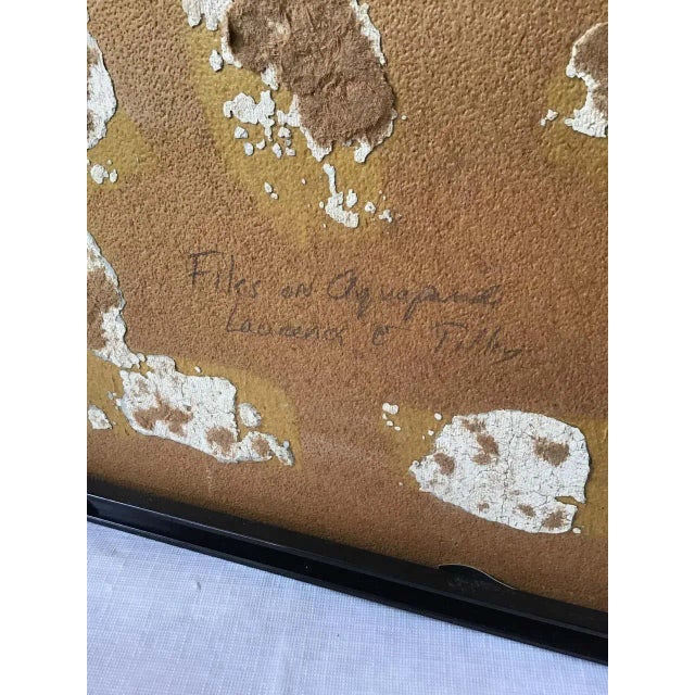 1950s Laurence Tilley Photograph of Fish Made from Files For Sale In New York - Image 6 of 7