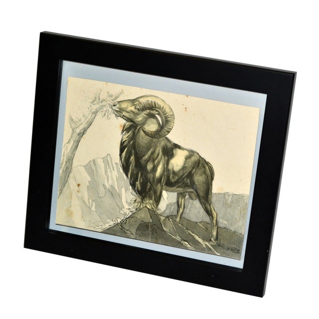 Mid-Century Modern Vintage Framed Sketch Grazing Ram Book Peinture Et Dessins De Paul Jouve, 1930 For Sale - Image 3 of 13
