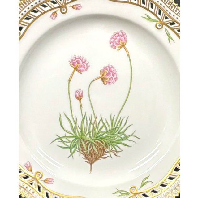 Mid 20th Century Royal Copenhagen Flora Danica 9" Plate, Armeria Sibirica Turcz, Gilt Border For Sale - Image 5 of 8