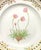 Mid 20th Century Royal Copenhagen Flora Danica 9" Plate, Armeria Sibirica Turcz, Gilt Border For Sale - Image 5 of 8