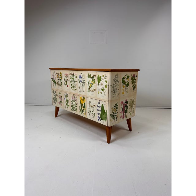 1950's Swedish Dresser With Nordens Flora Illustrations For Sale - Image 11 of 12