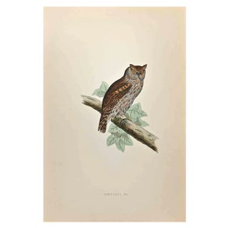 Alexander Francis Lydon, Scops-Eared Owl, Woodcut Print, 1870 For Sale