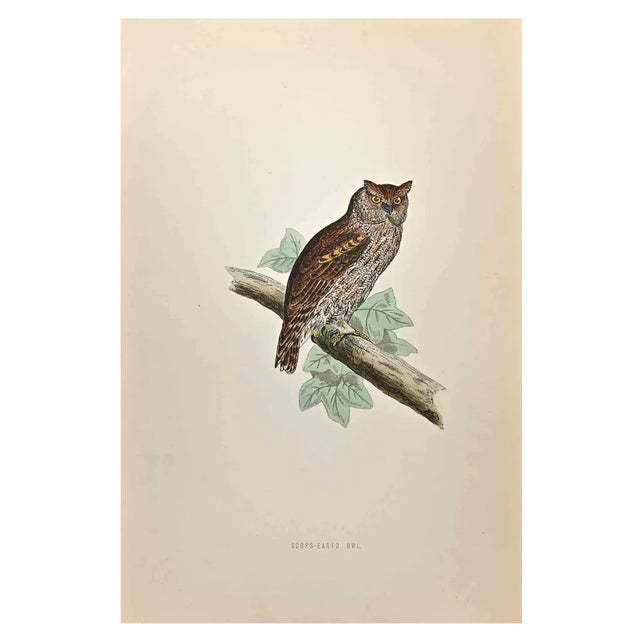 Alexander Francis Lydon, Scops-Eared Owl, Woodcut Print, 1870 For Sale