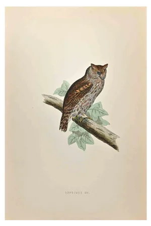 Alexander Francis Lydon, Scops-Eared Owl, Woodcut Print, 1870