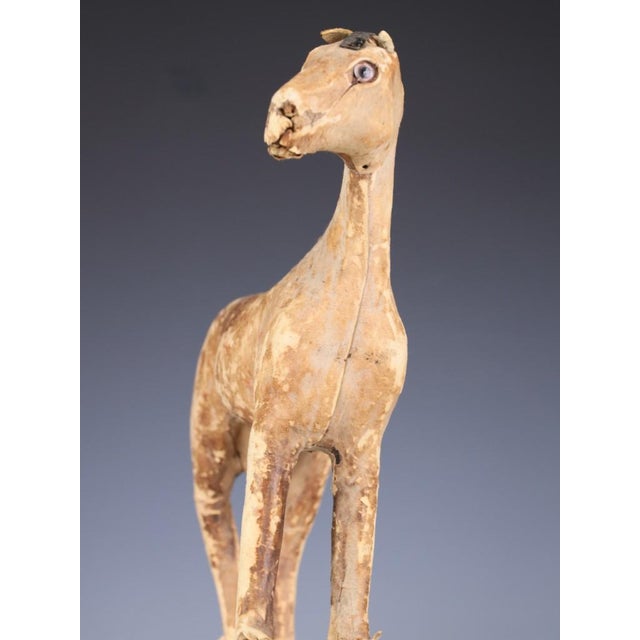 Antique Horse Covered in Genuine Horse Hide with Glass Eyes, 1890 For Sale - Image 13 of 16