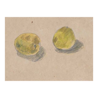 1960s Drawing of Fruit by Japanese Artist For Sale