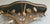 Fine 1950s Gilt Metal Shel With Elgomise Mirror Top For Sale - Image 9 of 10