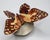 Shabby Chic Rare 1970s Roslyn S. Carren Studio Porcelain Butterfly For Sale - Image 3 of 7