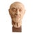 Vintage Early 20th Century Terracotta Bust from Goessens For Sale - Image 4 of 18