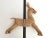 1970s Wicker Reindeer For Sale - Image 13 of 17