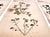 Oversized Antique French Herbarium Specimens – Set of 8 | Original 19th Century Pressed Botanical Collection From Paris For Sale - Image 14 of 17