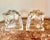 Vintage Clear Glass Horse Head Bookends - Set/2 For Sale - Image 4 of 5