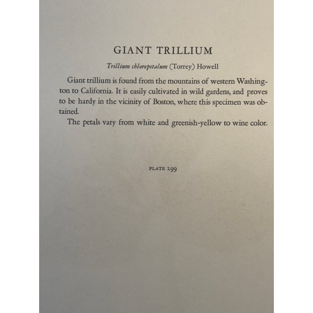 Lovely 19th C. Botanical Color Print on Paper With Genus Biography - Giant Trillium - Set of 2 For Sale - Image 4 of 7