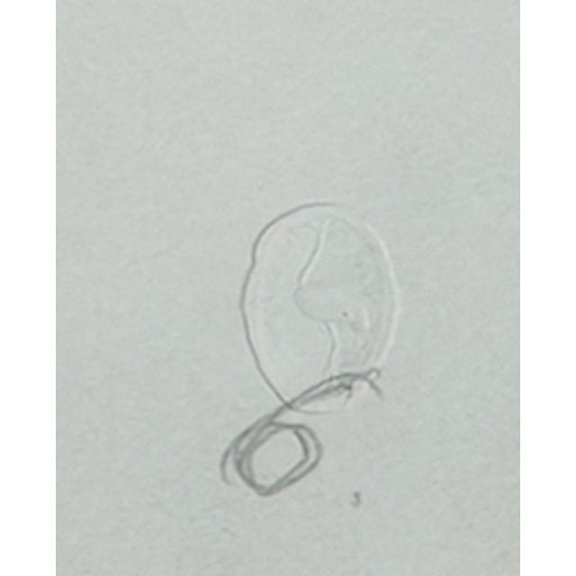 1960s Alberto Giacometti, Annette, 1963, Original Lithograph For Sale - Image 5 of 8