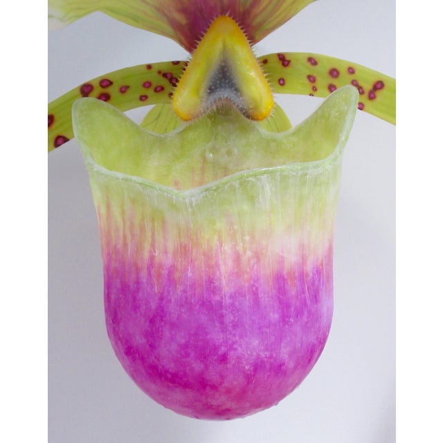 C. 2015 Original Artist Jurgen Reichert "Paphiopedilum Mirabilis" - Silicone Orchid, Light Wall Sculpture For Sale - Image 13 of 18