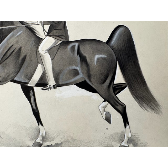 American Original Signed Graphite Illustration of Saddlebred Horse & Rider, 11 × 10.5 In. For Sale - Image 3 of 5