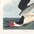 Black Skimmer, Vintage Art Print Reproduction From Birds of America by John James Audubon, 24" X 24" For Sale - Image 9 of 10