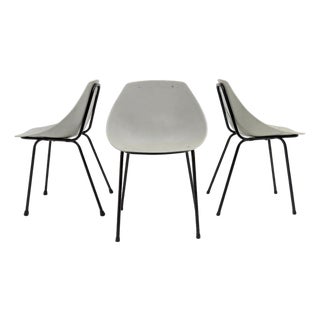 Set of Three Pierre Guariche for Meurop ‘Coquillage’ Dining Chairs, 1960 For Sale