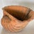 French Antique Set of Three Terracotta Large Shell Planters, 1940s For Sale - Image 9 of 18