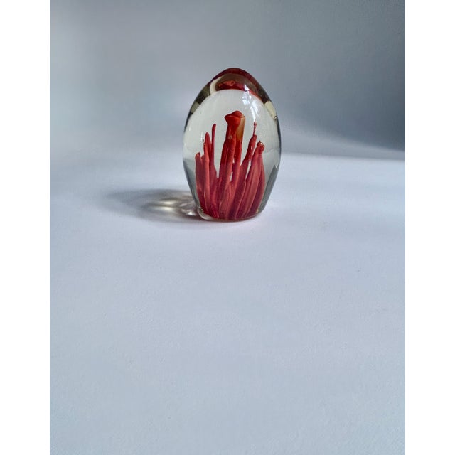 Fulvio Bianconi Murano Style Coral Paper Weight For Sale - Image 16 of 17