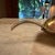 Christofle Christofle Gallia Lino Sabatini Silver-Plated Leaf-Shaped Dish Mid-Century Modern For Sale - Image 4 of 16