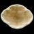 Victorian Food Mold Seashell Crab Motif 19th Century For Sale - Image 10 of 10