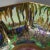 Wedgwood Fairyland Lustre Octagonal Dana Bowl For Sale - Image 15 of 18