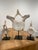 Vintage Whale Vertebrae Bones, Set of Three. For Sale In Los Angeles - Image 6 of 8