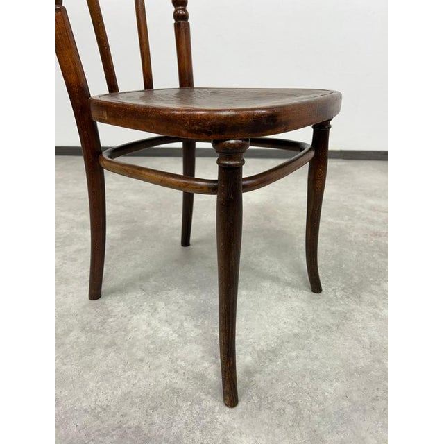 Bentwood Dining Room Chairs from Thonet, 1920s, Set of 4 For Sale - Image 9 of 15