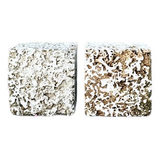 Vintage Coquina Stone Blocks - A Pair For Sale